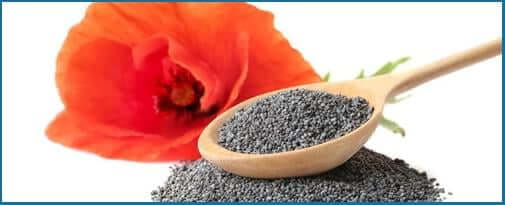 California-Poppy-Poppy-Seed-1