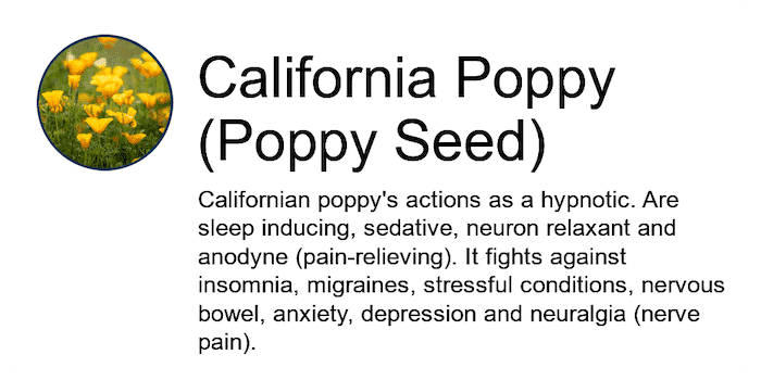 California-Poppy-Poppy-Seed-Ing-01