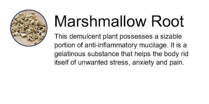 Marshmallow-Root-Ing-01